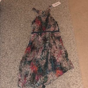 Elizabeth and James dress